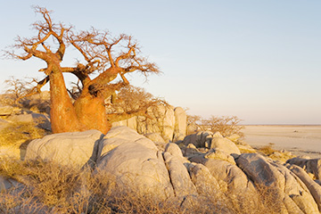 廣州到哈博羅內(nèi)國際空運(yùn)_廣州到哈博羅內(nèi)空運(yùn)公司